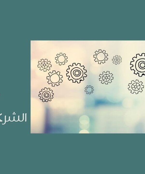 الشركات غير الربحية