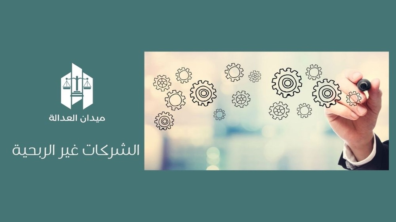 الشركات غير الربحية