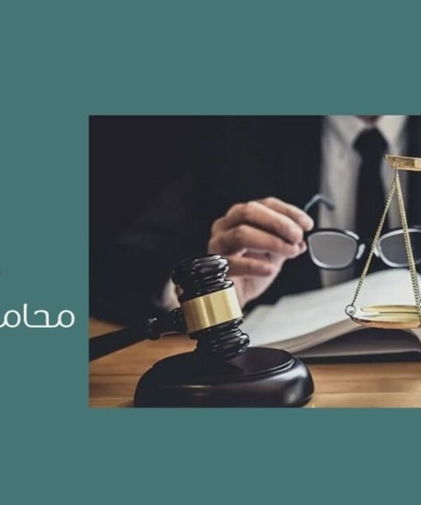 أفضل محامي استثمار في الرياض