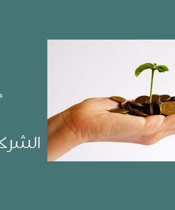 الشركة غير الربحية