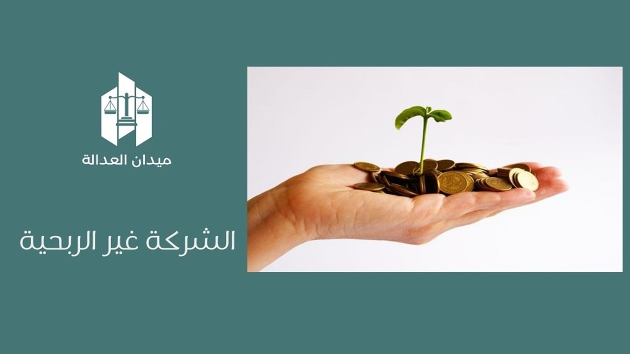 الشركة غير الربحية