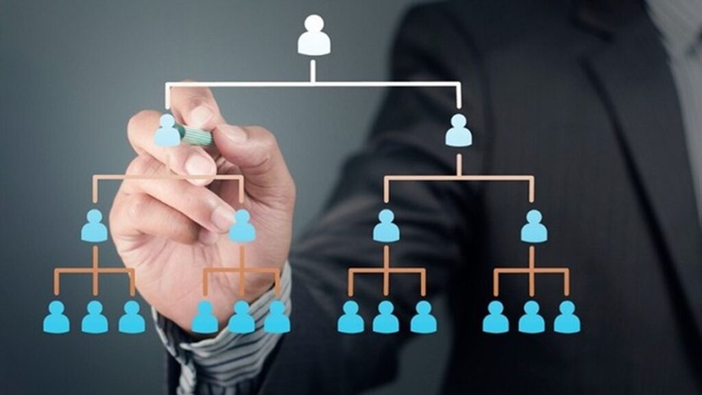 أنواع الهيكلة التنظيمية للشركات