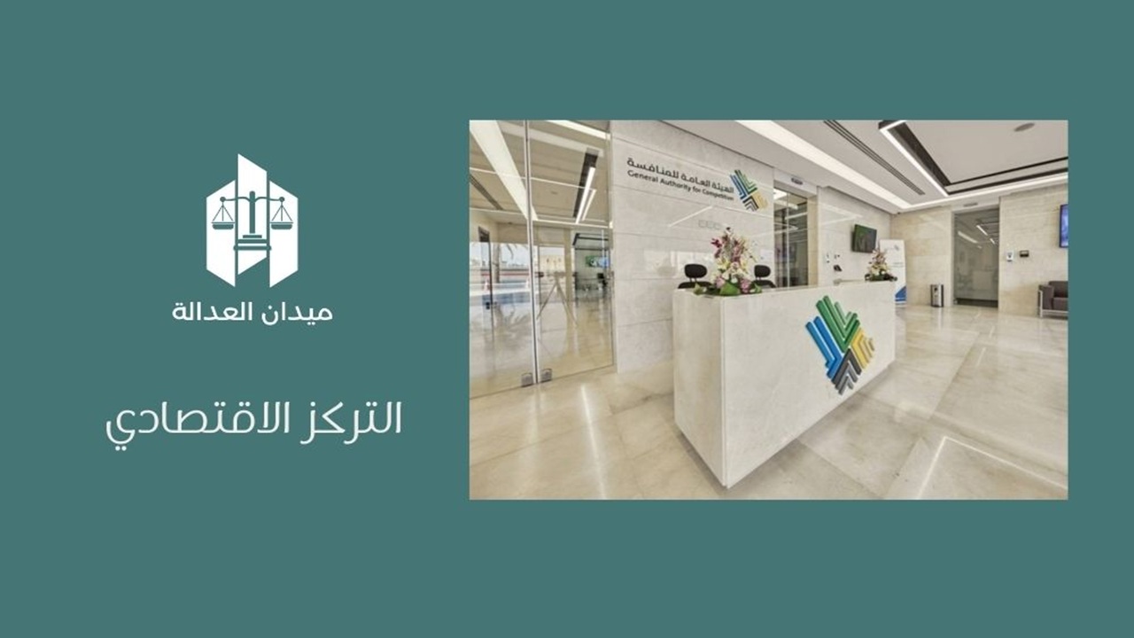 التركز الاقتصادي