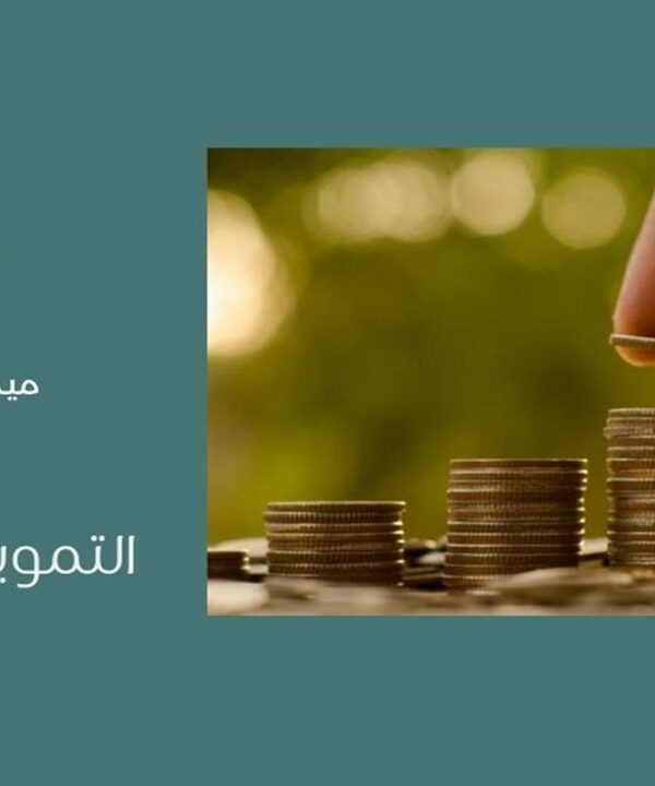 التمويل المباشر