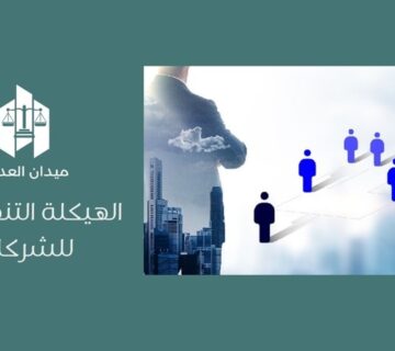 الهيكلة التنظيمية للشركات