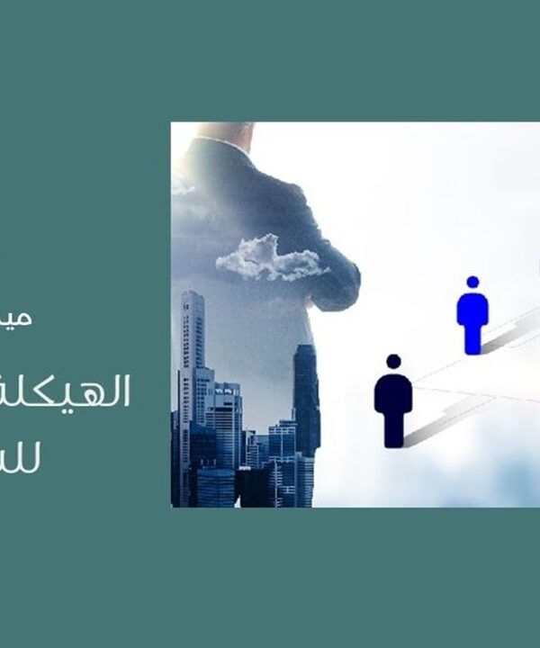 الهيكلة التنظيمية للشركات