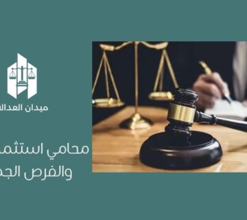 محامي استثمار أجنبي والفرص الجديدة