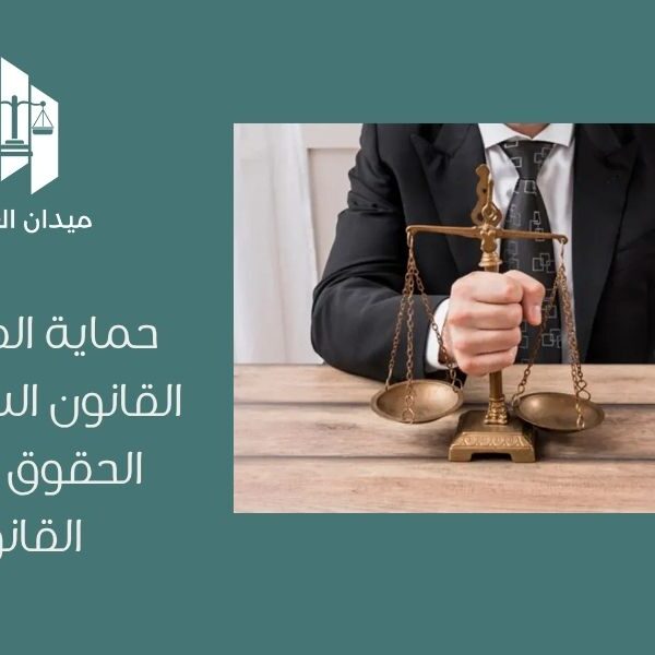 حماية الطفل في القانون السعودي | الحقوق والمزايا القانونية